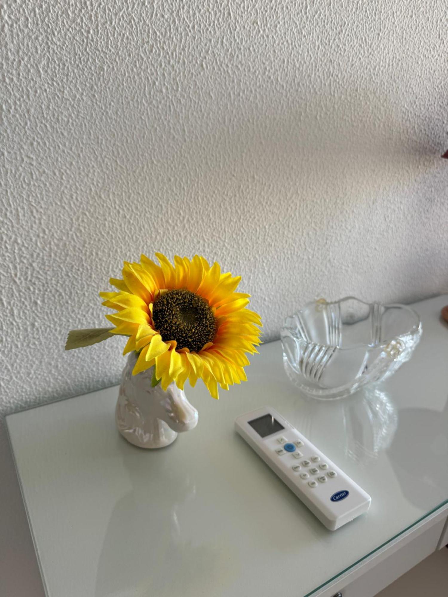 Apartment Algarve - Beach Front - Free Wifi - Air Con Armação de Pêra Buitenkant foto